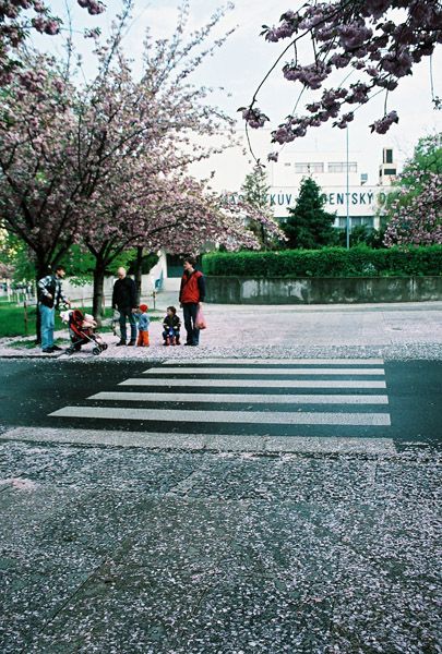 BRNO / CZECH REPUBLIC / XXV