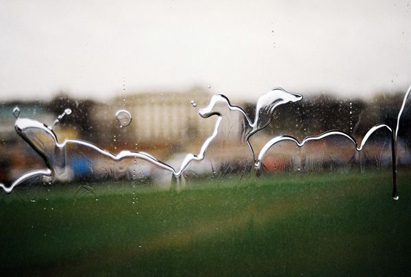 window from the Alte Pinakothek / IX