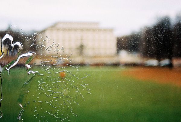 window from the Alte Pinakothek / VIII