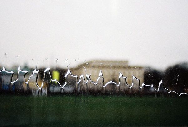 window from the Alte Pinakothek / VII