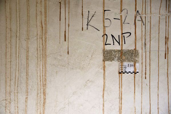 reconstruction of the House Na Kampě street no. 8 / Praha / 2016 / XII