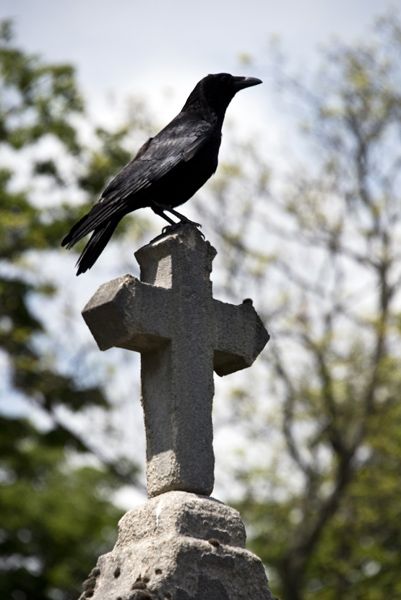 Pere - Lachaise cemetery / Paris, France / 2015 / II