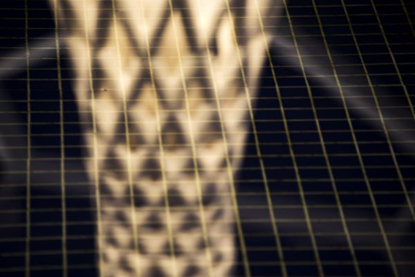 EXPO / Milan, Italy / 2015 / turkish pavilion / II