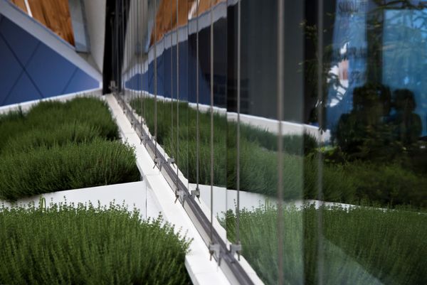 EXPO / Milan, Italy / 2015 / slovenian pavilion / VII