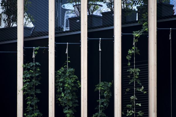 EXPO / Milan, Italy / 2015 / French pavilion / I