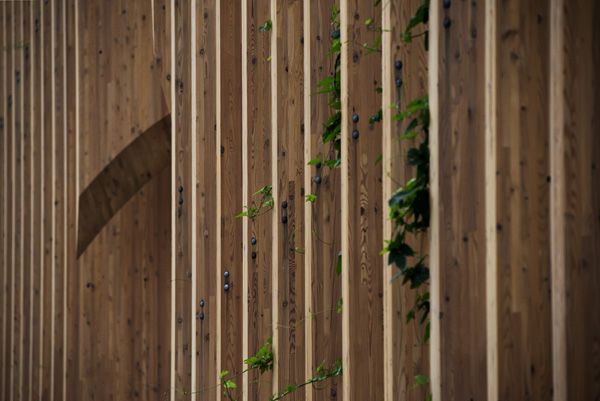 EXPO / Milan, Italy / 2015 / French pavilion / II