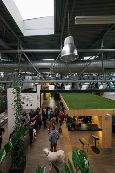 OPEN HOUSE BRNO 2019 / Impact Hub / XXXVI